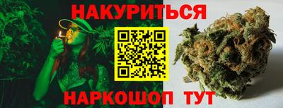 jwh Ставрополь