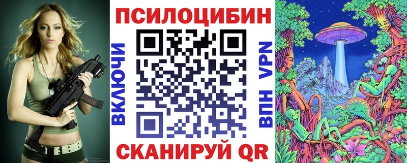KRAKEN ONION  Тейково  Псилоцибиновые грибы мицелий 